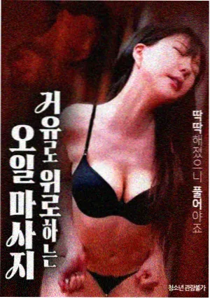 修复版本对照写法条目封面